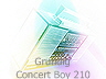 Grundig Concert Boy 210 Transistor 4000